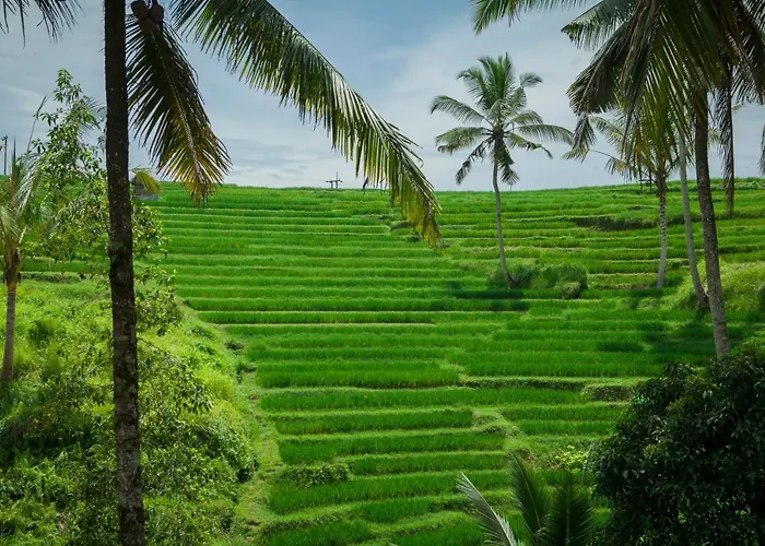 Be Bali Stay Ubud 