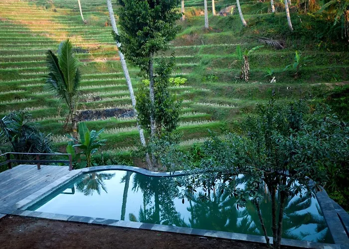 Be Bali Stay Ubud 