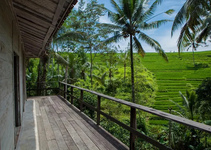 Be Bali Stay Ubud 